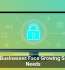 Small Businesses Face Growing Security Needs