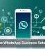 AI Makes WhatsApp Business Setup Easier
